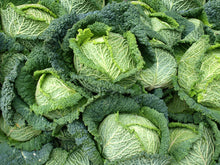 Load image into Gallery viewer, 500 Savoy Cabbage Seeds - Heirloom Non-GMO Cabbage Seeds