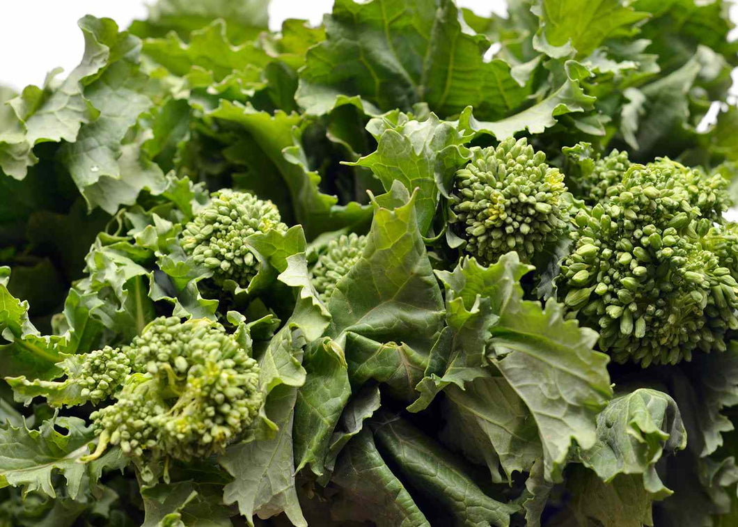 300 Early Fall Rapini Broccoli Seeds - Non-GMO Heirloom Broccoli Seeds