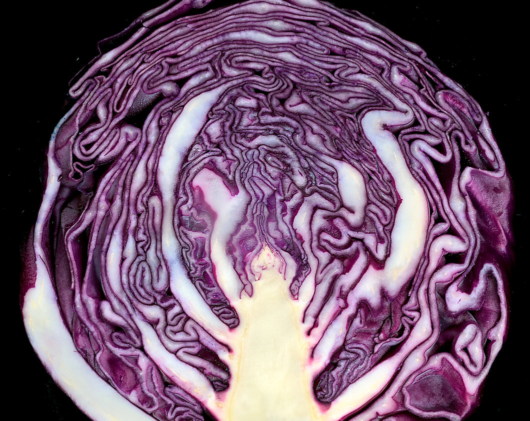 250 Red Acre Cabbage Seeds - Heirloom Non-GMO Red Cabbage Seeds