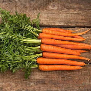 500 Scarlet Nantes Carrot Seeds - Non-GMO Heirloom Carrot Seeds