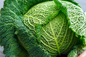 500 Savoy Cabbage Seeds - Heirloom Non-GMO Cabbage Seeds