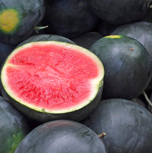 50 Crimson Sweet Watermelon Seeds