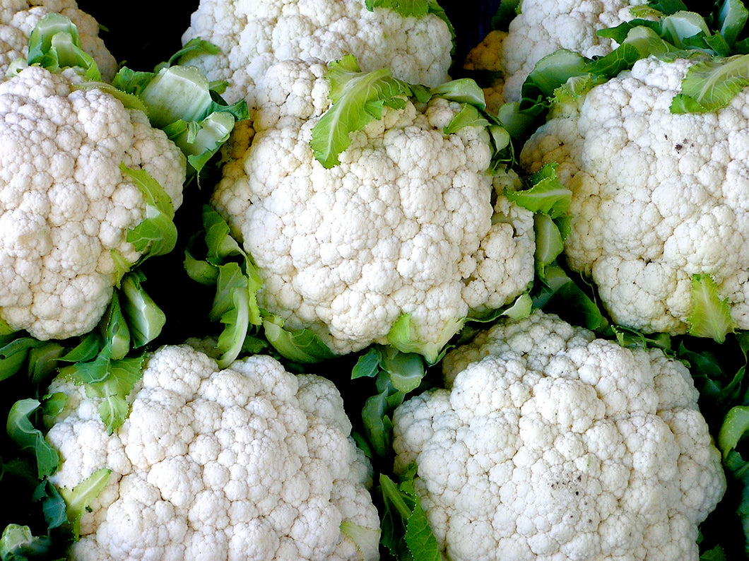 500 Cauliflower Snowball y Improved Seeds