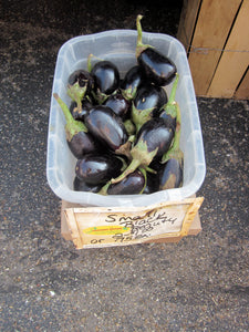 300 Black Beauty Eggplant Seeds