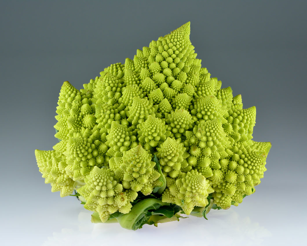 250 Romanesco Broccoli Seeds - Brassica oleracea Romanesco - Non-GMO