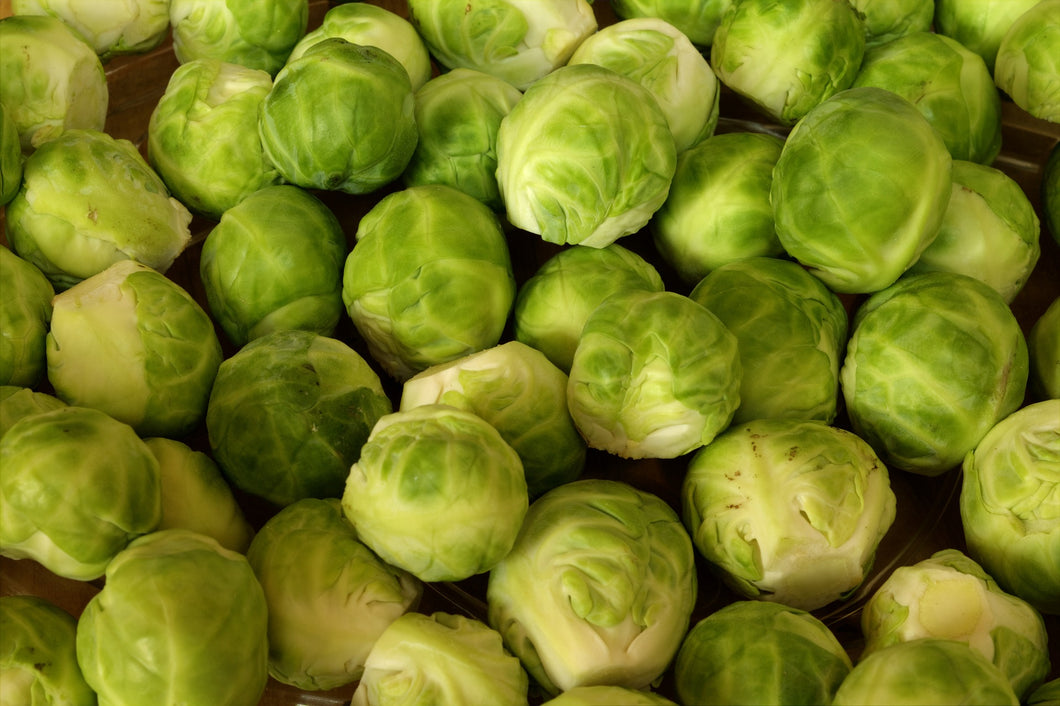 500 Long Island Brussel Sprout Seeds