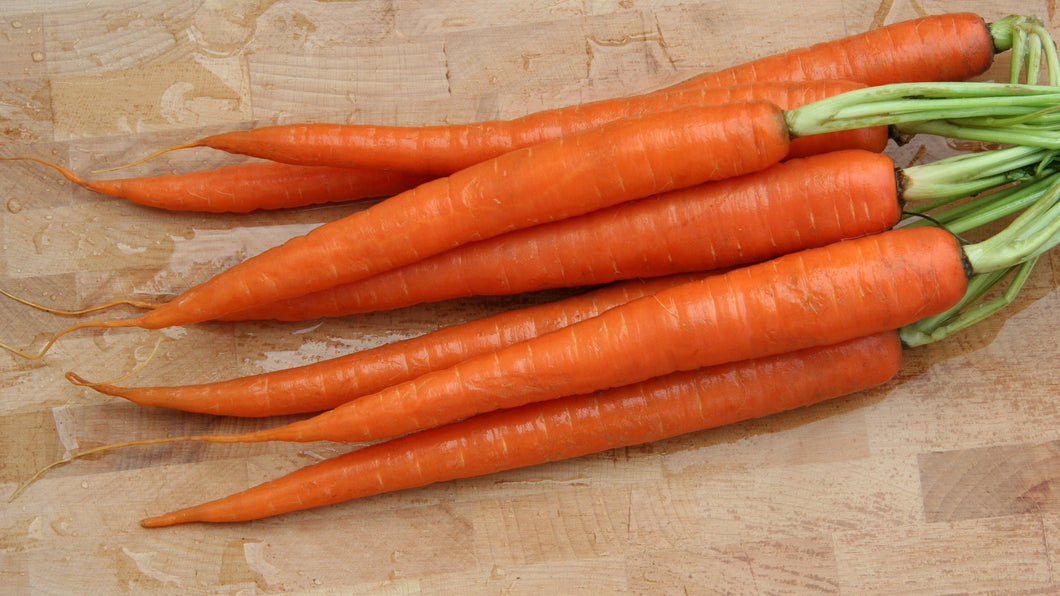 3,000 Tendersweet Carrot Seeds
