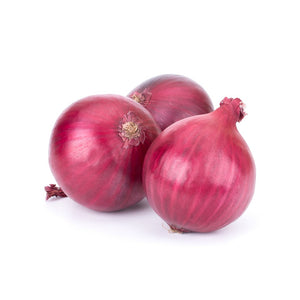 1000 Red Grano Onion Seeds