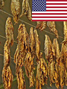 Gold Leaf 939 Tobacco Seeds